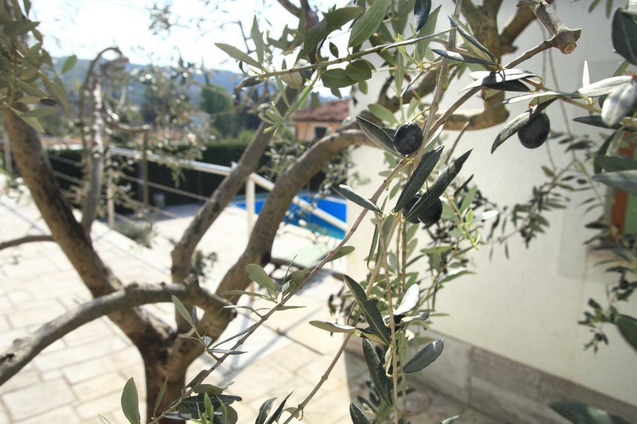 Spacious Villa In Parecag With A Swimming Pool Sečovlje Екстериор снимка